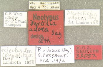 Media type: image;   Entomology 33052 Aspect: labels